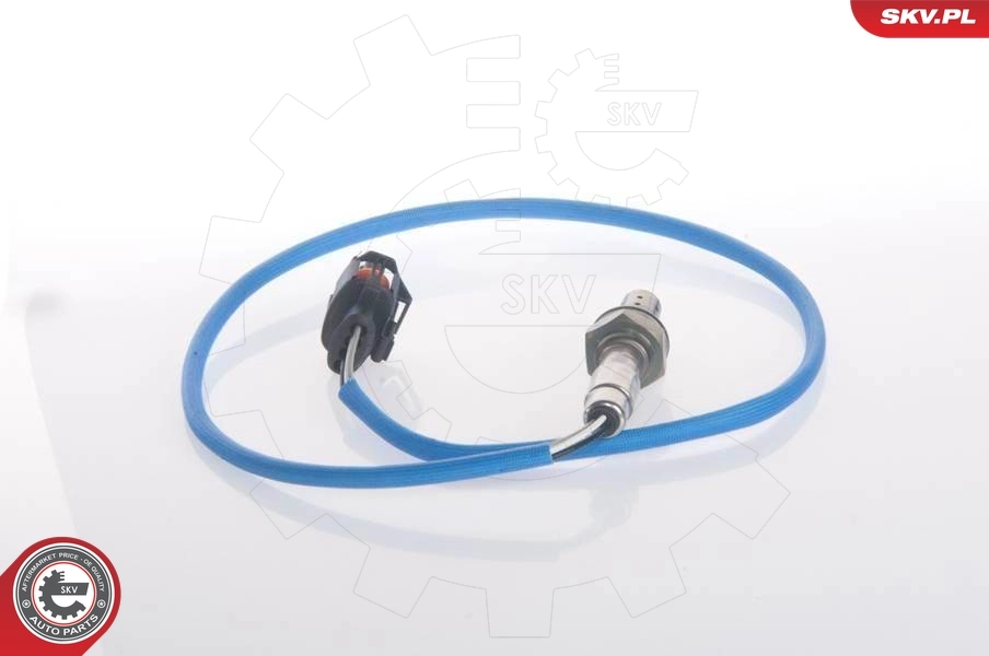Oxygen Sensor